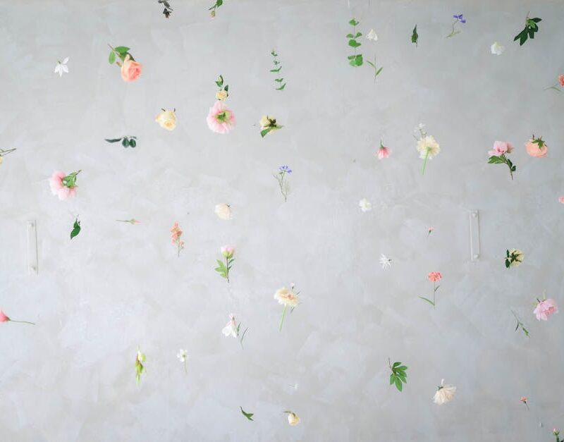 Flowers & Plants - Delicate flowers creatively arranged against a n #16663579