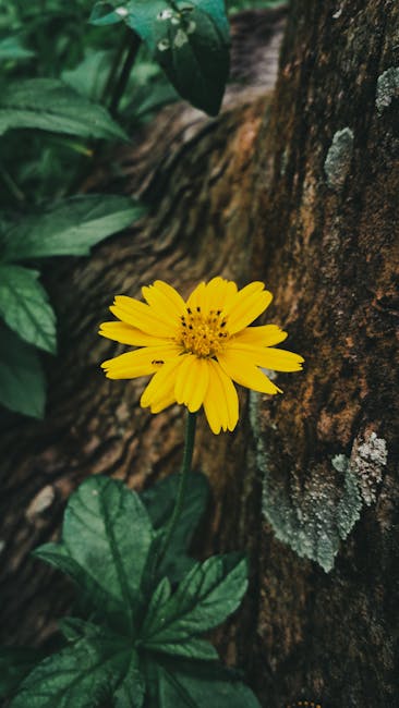 Flowers & Plants - Close-up of a vibrant yellow flower with fresh g #26648537