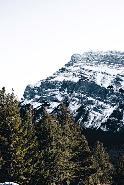 Mountain Landscapes - Stunning view of a snowcapped mountain and everg #28367856