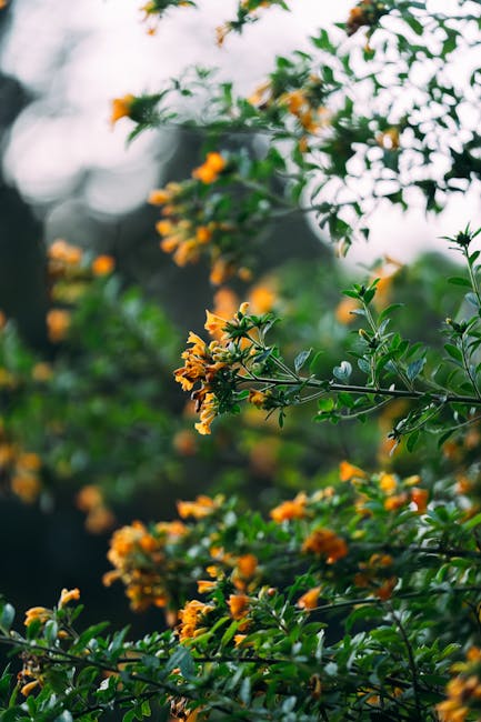 Flowers & Plants - A detailed view of vibrant yellow flowers agains #34465303