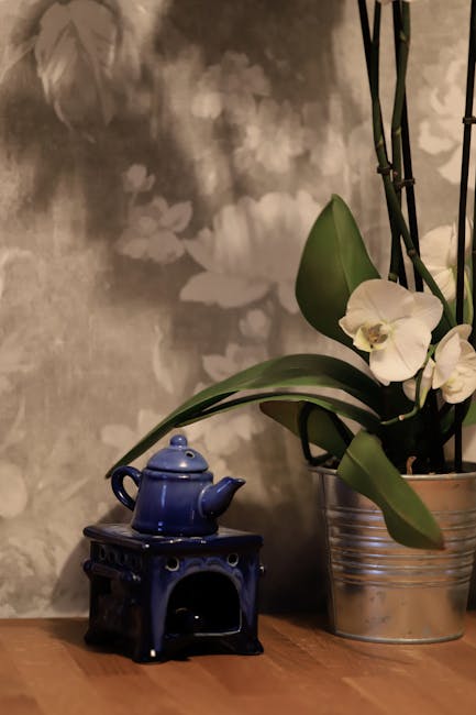Flowers & Plants - A blue teapot sits beside white orchids on a woo #34743857