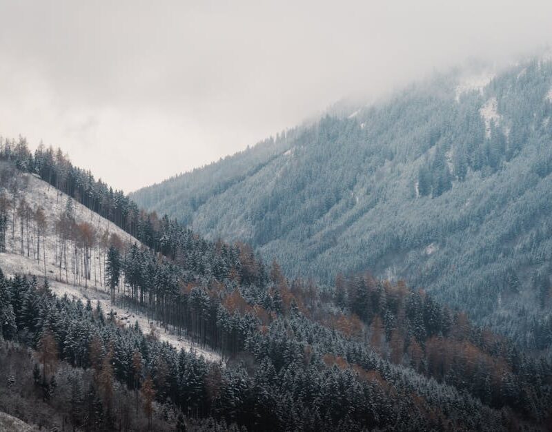 Mountain Landscapes - Scenic view of snowy alpine mountains with frost #35140927