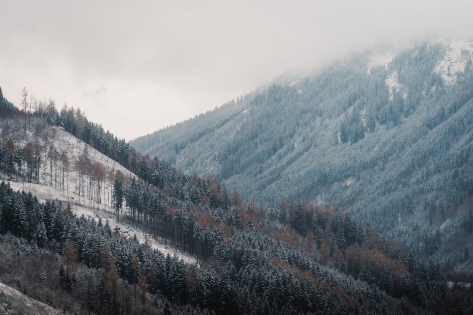 Mountain Landscapes - Scenic view of snowy alpine mountains with frost #35140927