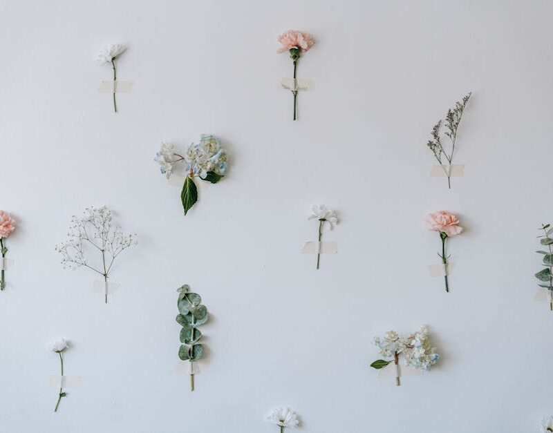 Flowers & Plants - White wall with thin twigs and colorful roses ne #6913768